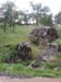 PICT1819