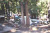 camp.jpg (55267 bytes)