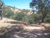 to-coyote-creek.jpg (46382 bytes)