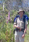 foxglove.jpg (103078 bytes)