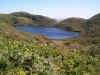 pelican-lake.jpg (54877 bytes)