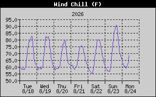 Wind Chill History